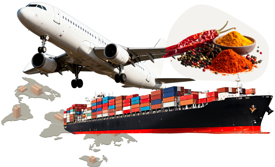 Air Cargo Logistics Service